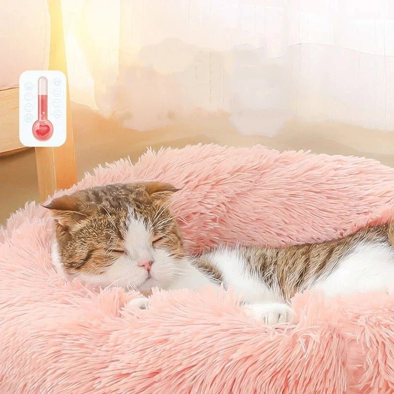 Lit pour chat / Coussin en peluche™ - Griffe de Moustache